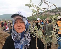 'Zeytinlerimizi Yeniden Canlandıracağız'