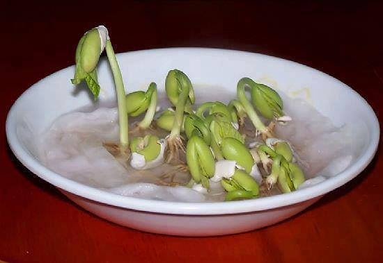 Çocukken Yaptığımız Biraz Tuhaf Biraz da Keyifli 45 Şey Daha