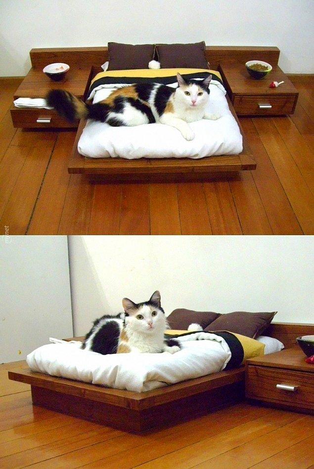 13. Kediler İçin Mini Yatak Odası :)