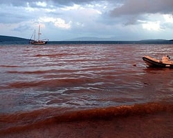 Bodrum'da Deniz Bir Anda Kahverengi Oldu