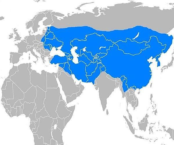2- Moğol İmparatorluğu
