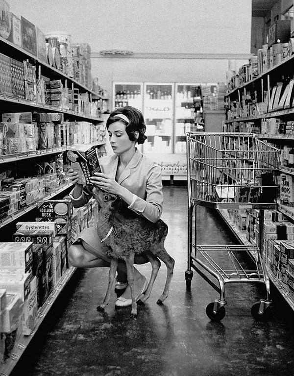 32. Audrey Hepburn evcil geyiği "Ip" ile Beverly Hills'de alışveriş yaparken, 1958.