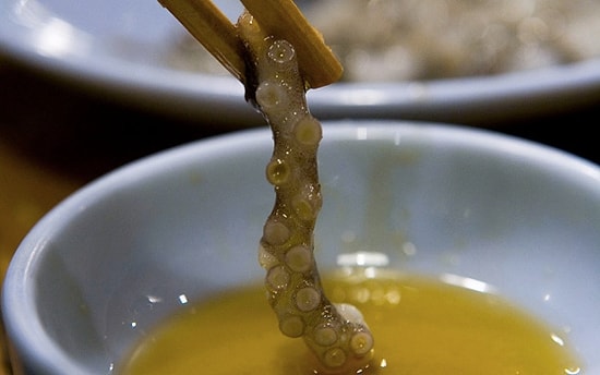 Değişik Kültürlerde İnsanlar Tarafından Canlı Canlı Yenilen 6 Hayvan