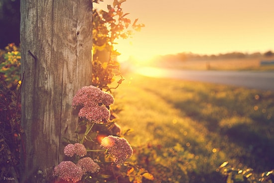 Şimdi Yapmaya Başlayarak Hayatınızı Güzelleştirebileceğiniz 20 Şey