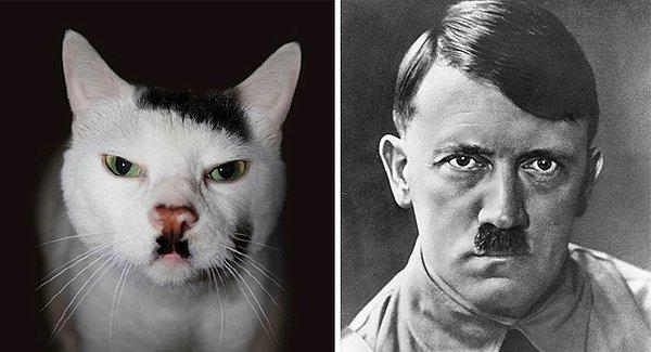 5. Kedi ve Hitler