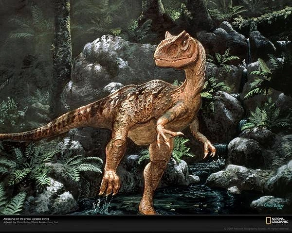 4-) Allosaurus