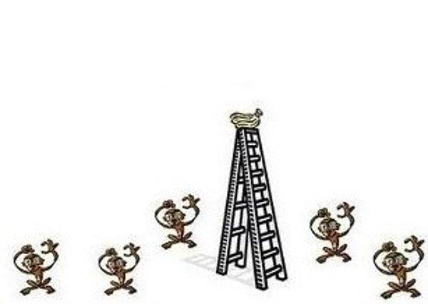 1. Bir grup bilim adamı bir kafese 5 maymun ve tepesinde muzlar bulunan bir merdiven yerleştiriyor.