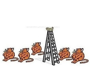 Maymunlara neden bunu yaptıklarını sormak mümkün olsa cevapları muhtemelen "Bilmem, burada işler böyle yürür" tarzında olurdu.