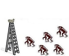 İkinci bir maymun daha başka bir maymunla değiştiriliyor ve yine aynı şey oluyor.