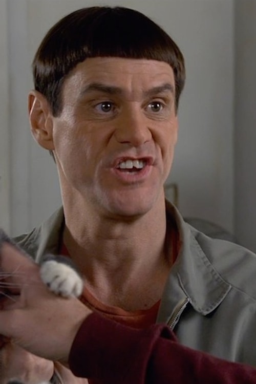 1992'de Doing Time on Maple Drive ile ekranlardaki yerini aldığında Jim Carrey 30 yaşındaydı. Son filmi Salak ile Avanak Geri Dönüyor'da 52 yaşında.