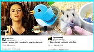 Gülmekten Okumayı Zar Zor Bitireceğiniz 24 Aşırı Komik Tweet