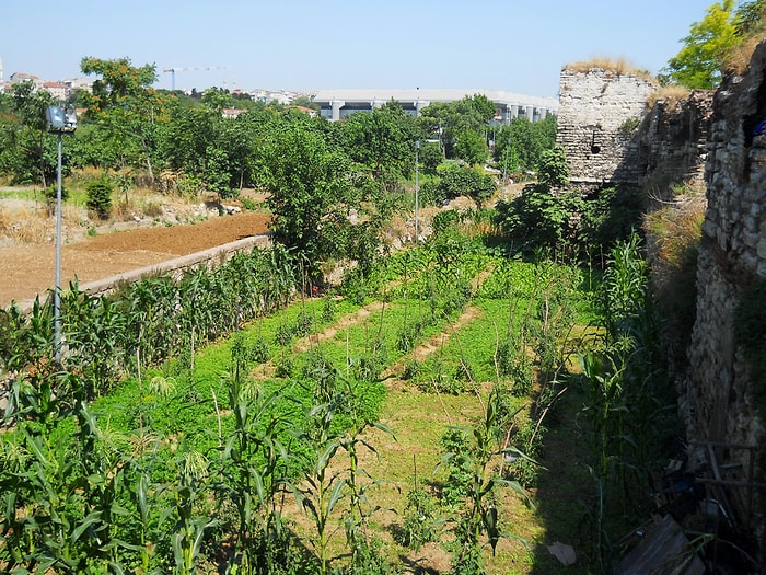 Tarihi Yedikule Bostanları Planı Reddedildi