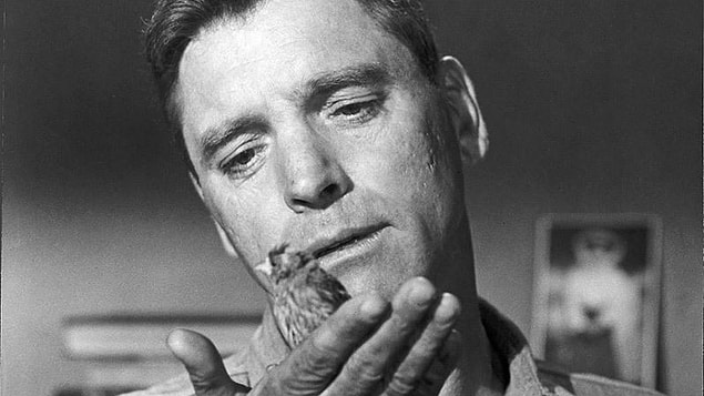 13. Alkatraz Kuşçusu / Birdman of Alcatraz (1962)