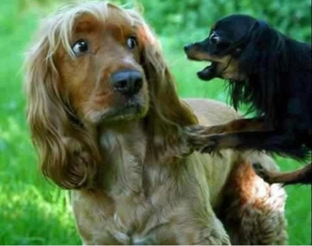 İnsanları Gereksiz Yere Yakınlaştıran 13 Durum