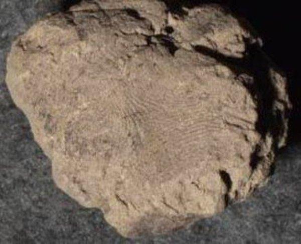 8. Boncuklu Höyük’te 10 bin 500 Yıllık Parmak İzleri