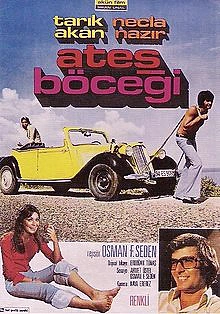 Ateş Böceği