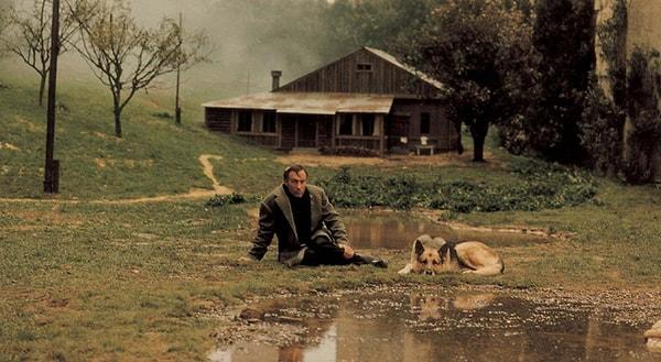 9. Resmi makamların izni ile İtalya'da çekilen Nostalghia (1983) Andrei Tarkovsky'nin sıla özlemini dışa vurduğu ve sürgünde çevirdiği ilk filmidir.