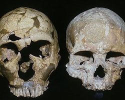 'Neandertalleri Yanardağ Yok Etmedi'