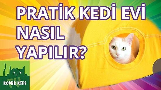 Pratik Kedi Evi Nasıl Yapılır?