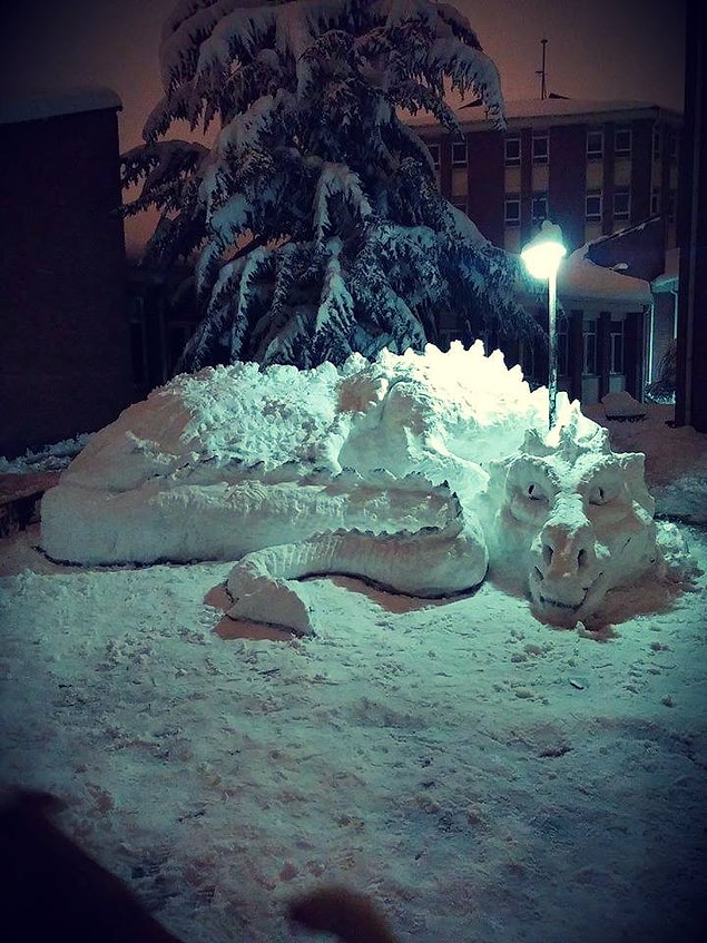 11. Anadolu Üniversitesi Ejderha