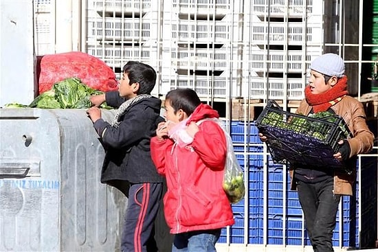 Suriyeli Çocuklar Çöpe Dökülen Sebze-Meyveleri Topluyor