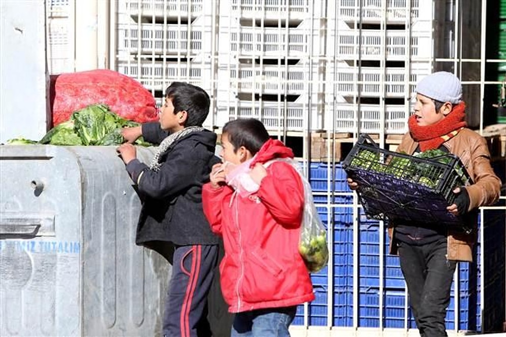 Suriyeli Çocuklar Çöpe Dökülen Sebze-Meyveleri Topluyor