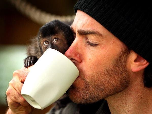 2. Maymunlar eğitimli...