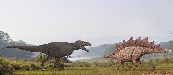 10. Tiranozorlar ve stegosaurusların arasında bulunan zaman farkı, tiranozorlar ile insanlar arasında bulunan zaman farkından daha fazlaydı.