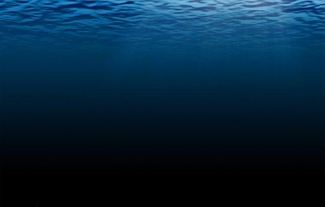21. Özetle; derin denizler aşırı derin ve büyük. Büyük kısmını henüz keşfedemedik. Orada tam olarak neler olduğuna dair tam bir fikrimiz yok. Her an beklenmedik bir gelişme olabilir. Şu an elimizde olanlar ise korkutucu.