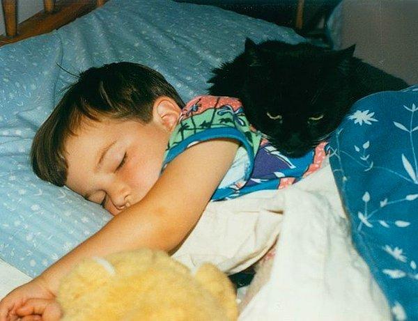 21. Uyurken dostunu koruyan bu bekçi kedi,