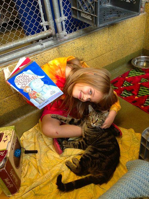 Kat Kat Pofuduk Battaniyeye Sarmışcasına Kalbinizi Isıtacak 27 Kedi