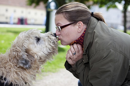 Köpekler İnsanları Gerçekten Anlayabiliyor mu?