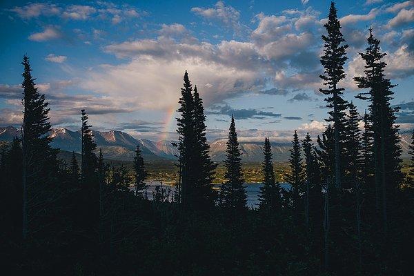 35. ''Yukon'dan çıkış yolumuz bize bu manzarayı bahşetti. Günler boyunca gökkuşağı vardı.''