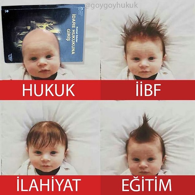 Hukuk karşısında diğer bölümler.