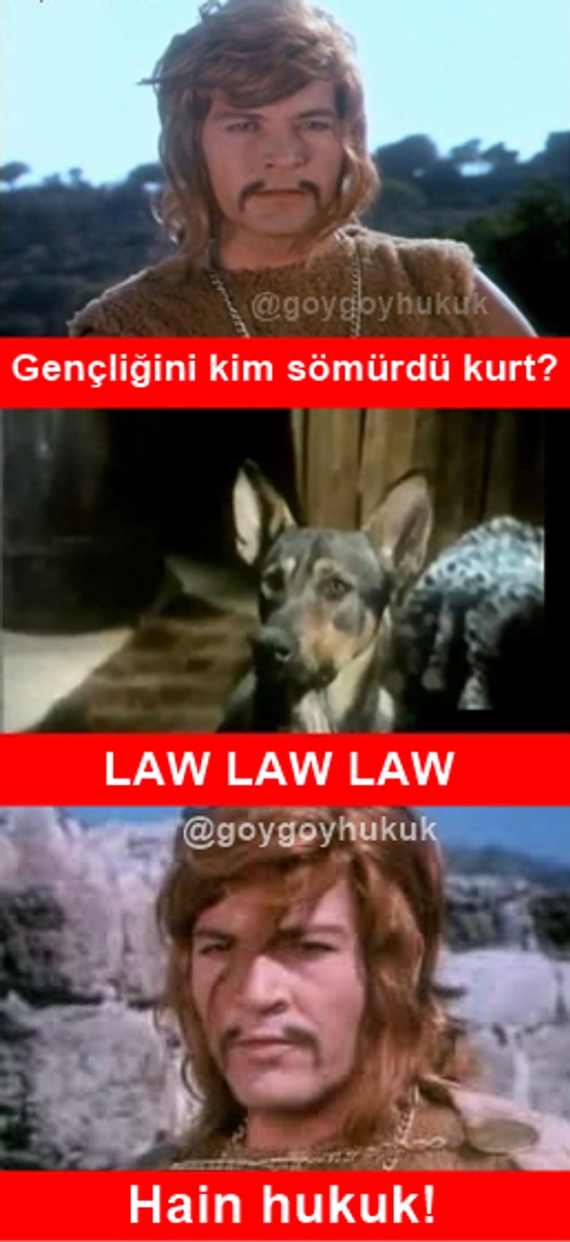 LAW LAW LAW