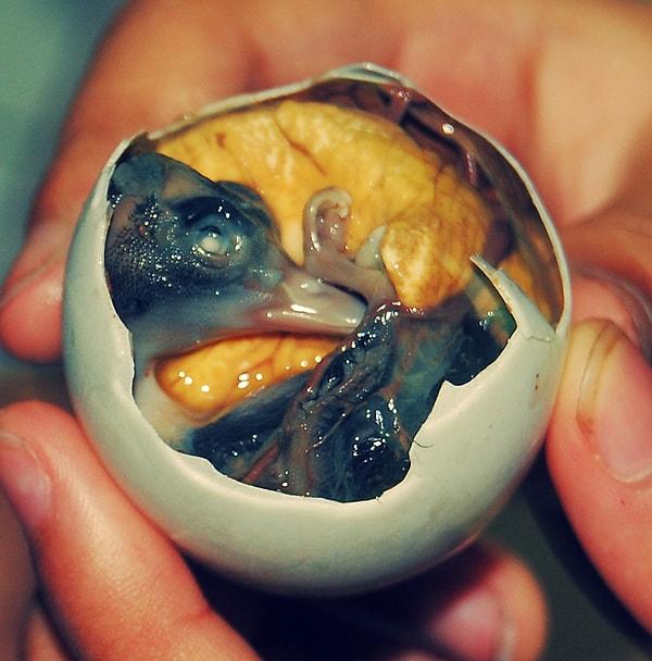 3. Yarı-oluşmuş ördek cenini (Filipinler)