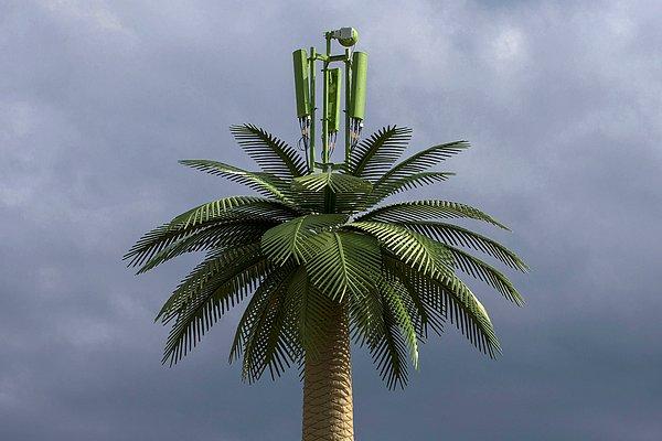 14. 2014 Kış Oyunları'nın düzenlendiği Sochi'de yapay bir palmiye ağacının üstüne alıcı yerleştirilmiş.
