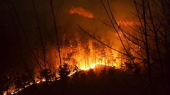 Zonguldak ve Samsun'da Yangın