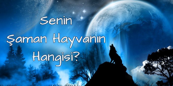 Senin Şaman Hayvanın Hangisi?