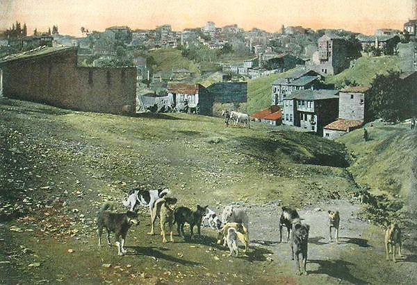20. Elmadağ (1880'li yıllar. Elle renklendirilmiş fotoğraf) Karşısı Kurtuluş.