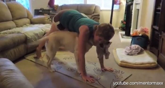 Yoga Yapan Sahiplerini Rahat Bırakmayan Sevimli Hayvanlar