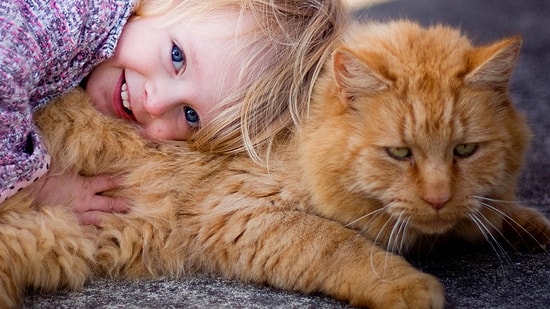 Hayvanlarla Başı Büyük Belada Olan Sevimli Çocuklar