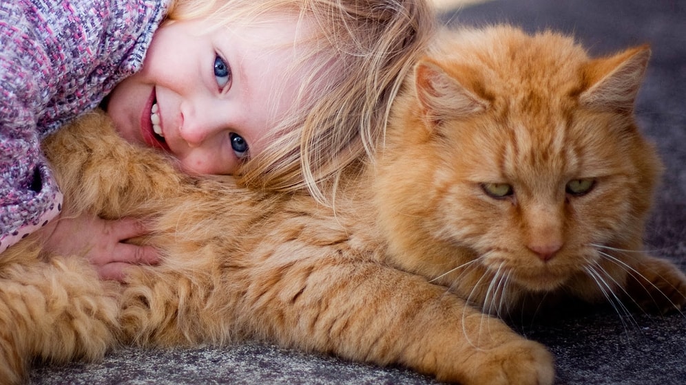 Hayvanlarla Başı Büyük Belada Olan Sevimli Çocuklar