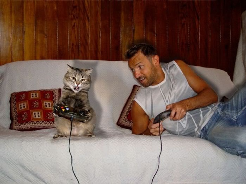 Petinizin Sevgilinizmiş Gibi Hissettirdiği 10 Durum