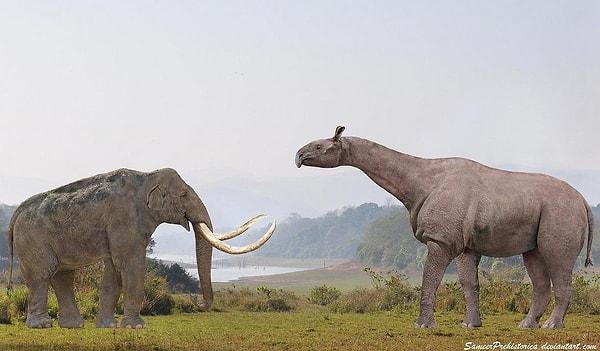 6- Karada Yaşamış En Büyük Memeli Türü / Paraceratherium