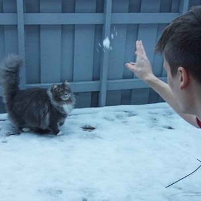 Hayatının En Güzel ve Karlı Gününü Geçiren Tombiş Kedi