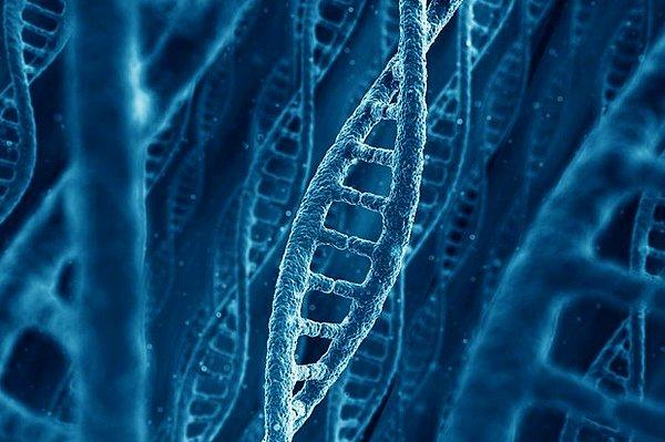 4. 1 Gram DNA, 455 ‘Exabyte’ Veri Saklayabiliyor