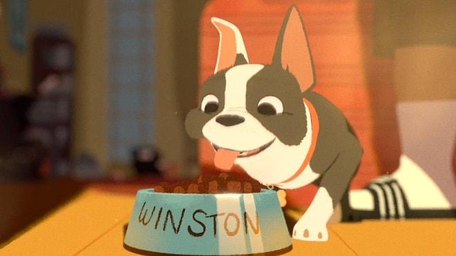 En İyi Kısa Animasyon Dalında Oscar Alan Film | Feast