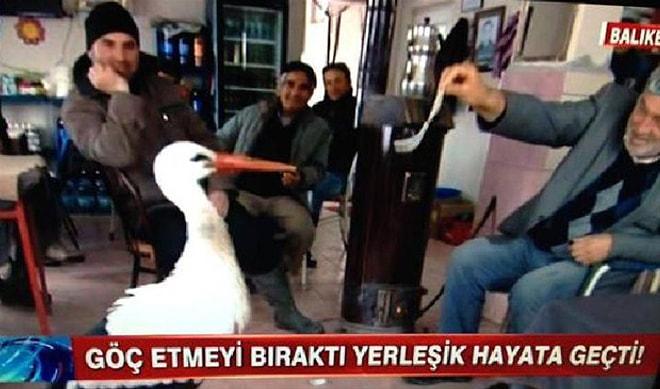Sadece Türkiye'de Olur Diyeceğiniz 15 Televizyon Haberi ve Olayı
