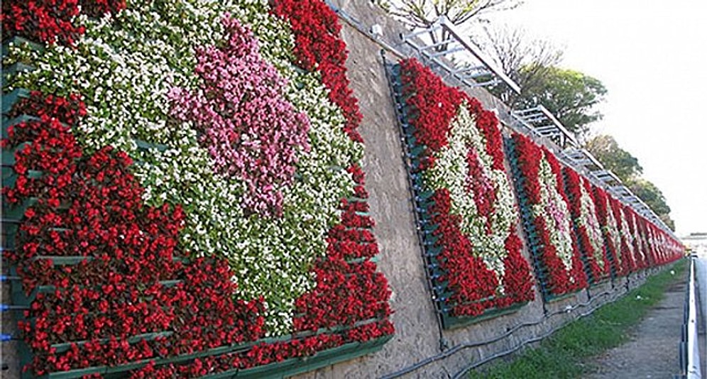İstanbul'un Çiçek Masrafı: 32 Milyon TL!